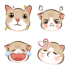 [LINE絵文字] Cute Tabby Emojiの画像