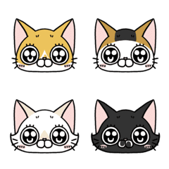 [LINE絵文字] ゆるまるネコたちとヒト科ちゃんのお目目の画像