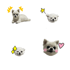 [LINE絵文字] こつぶ絵文字の画像
