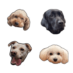 [LINE絵文字] 4匹の犬の画像