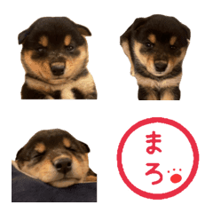 [LINE絵文字] maro cute Emojiの画像