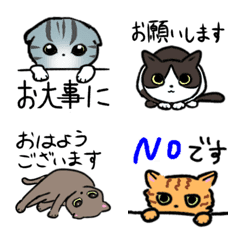 [LINE絵文字] ラブリーで小さい猫ちゃん達の画像