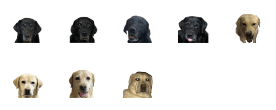 [LINE絵文字]Labrador cawaiiの画像一覧