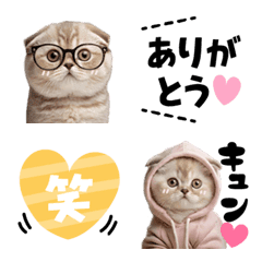 [LINE絵文字] ねこさん♡日常の画像