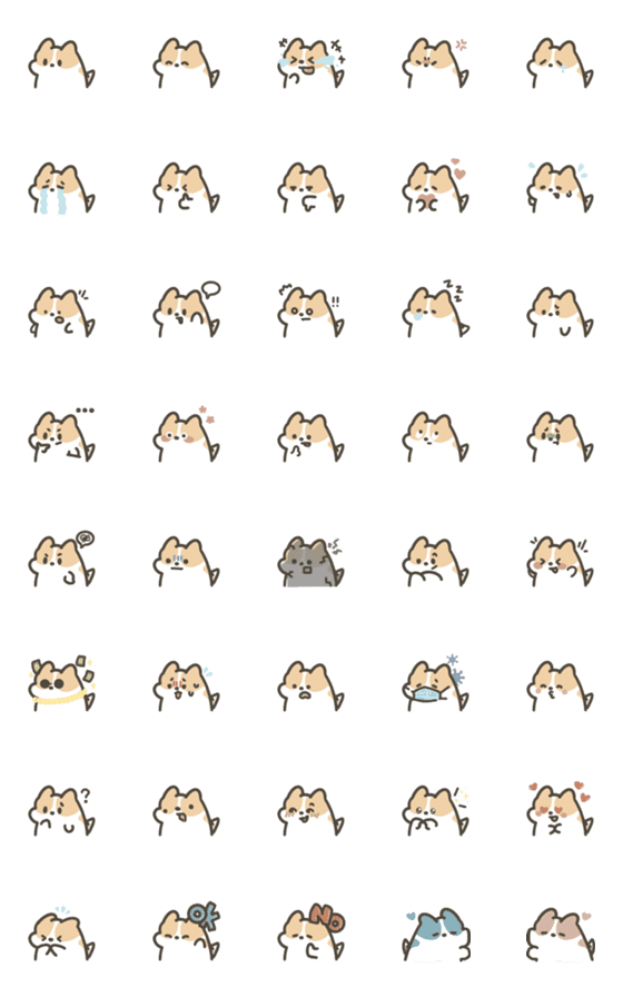 [LINE絵文字]Caohui Corgi Emojiの画像一覧