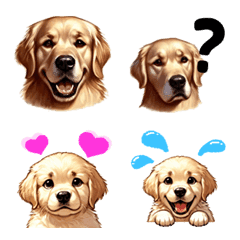 [LINE絵文字] 犬好きさん用❤ゴールデンレトリバー絵文字の画像