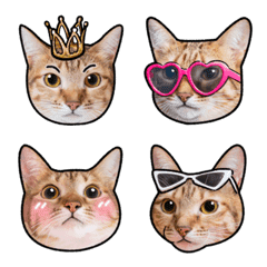 [LINE絵文字] fashion catの画像