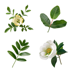 [LINE絵文字] 葉 植物 絵文字の画像