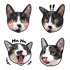 [LINE絵文字] century egg ＆ tofu's emojiの画像