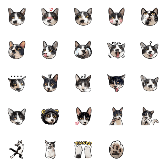 [LINE絵文字]century egg ＆ tofu's emojiの画像一覧