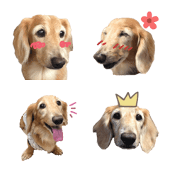 [LINE絵文字] ダックスフンド絵文字の画像