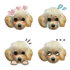 [LINE絵文字] ぴぃーちゃんの画像