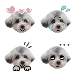 [LINE絵文字] こっちゃんの画像