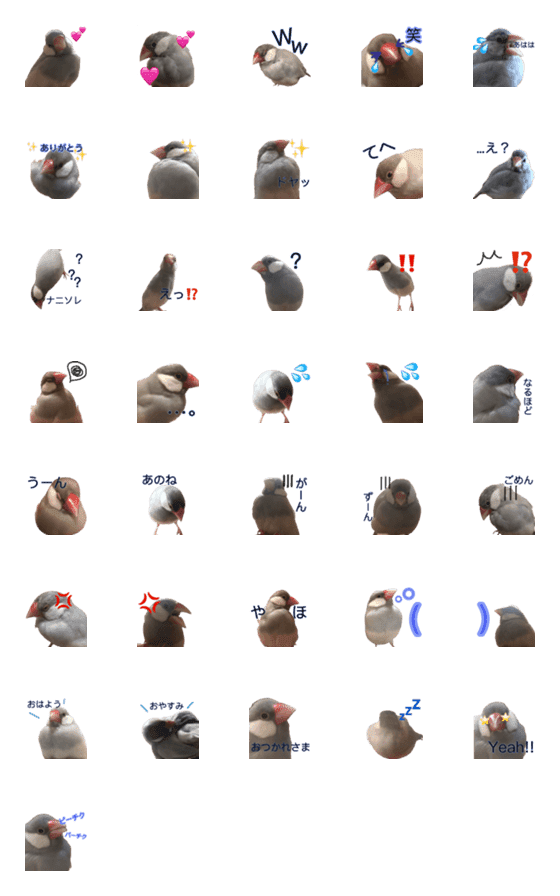 [LINE絵文字]シルバー文鳥の使える絵文字の画像一覧