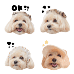 [LINE絵文字] maro.emoji....の画像